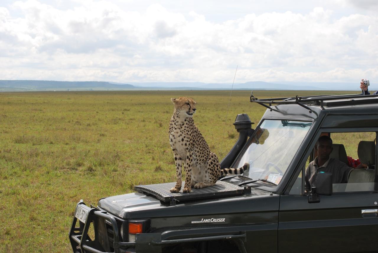 Sekenani Camp Maasai Mara Ξενοδοχείο Εξωτερικό φωτογραφία